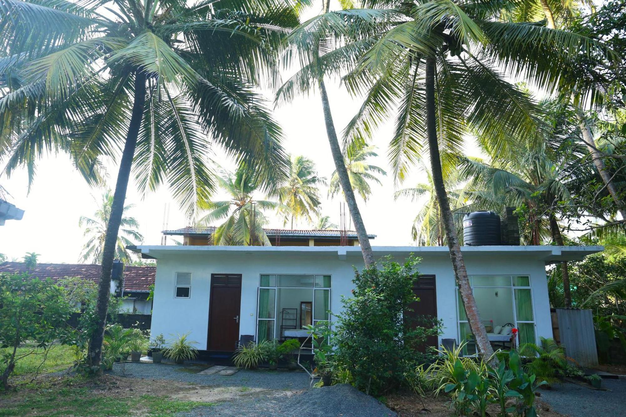 Sandy Palms Guesthouse ヒッカドゥワ エクステリア 写真