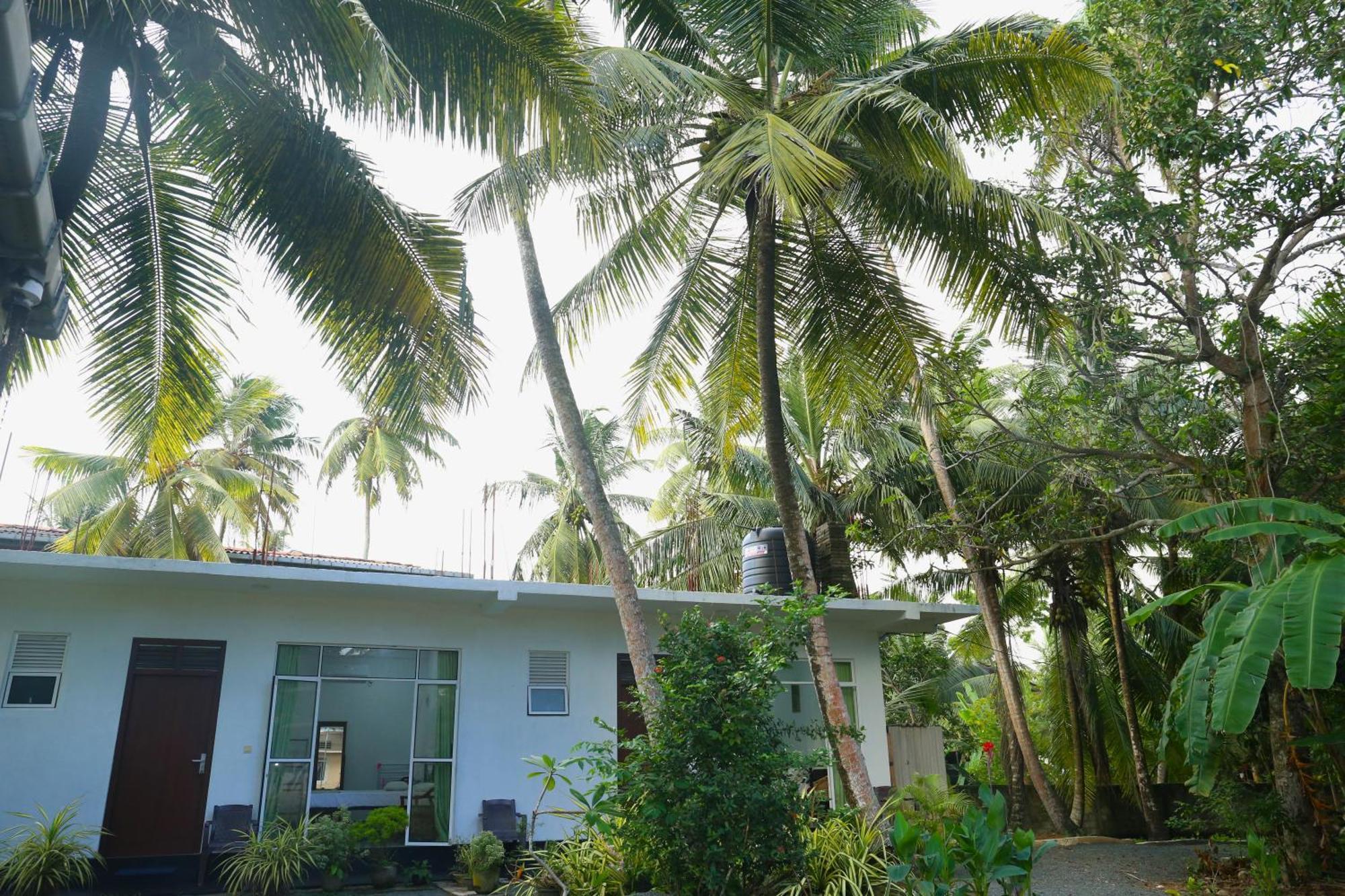 Sandy Palms Guesthouse ヒッカドゥワ エクステリア 写真