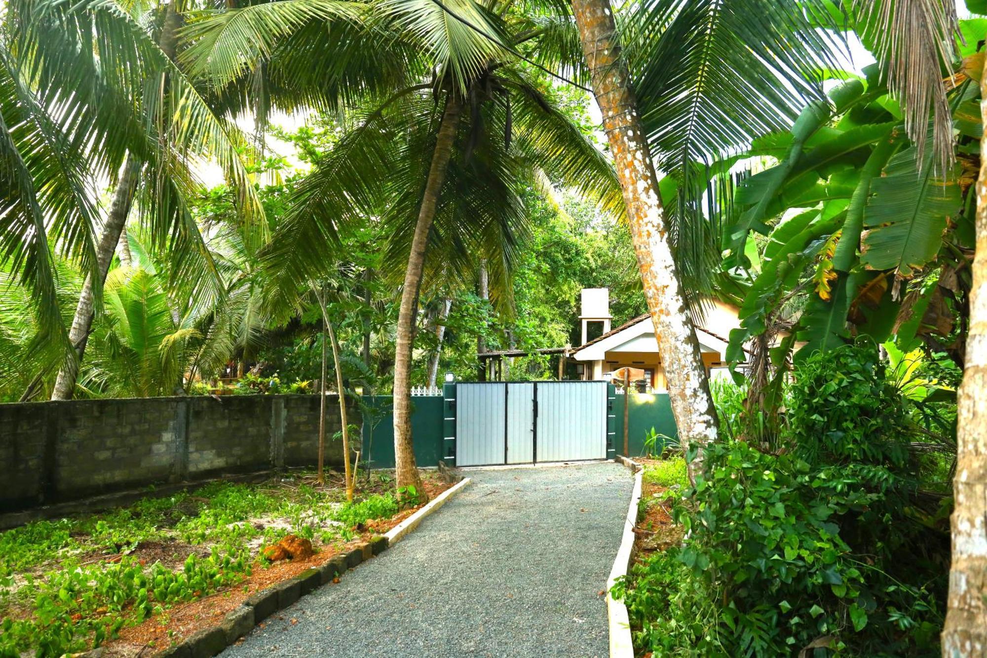 Sandy Palms Guesthouse ヒッカドゥワ エクステリア 写真